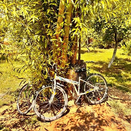 Eco House Summer Garden Kaji-Say Ngoại thất bức ảnh