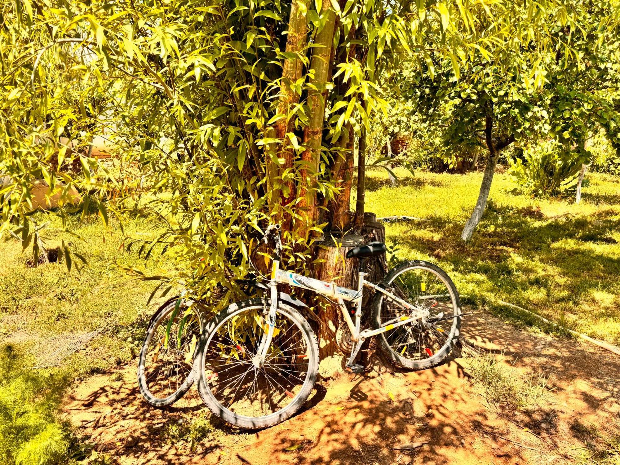 Eco House Summer Garden Kaji-Say Ngoại thất bức ảnh