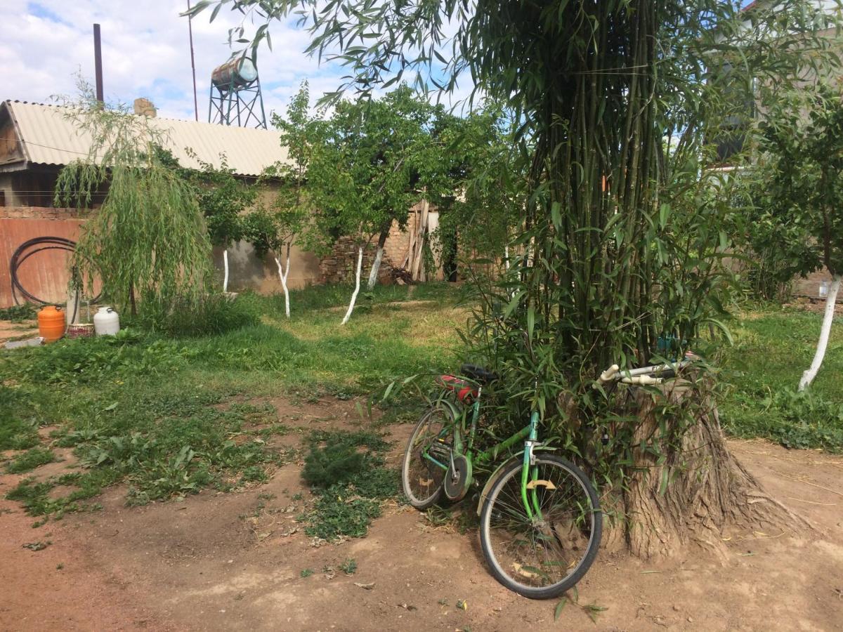Eco House Summer Garden Kaji-Say Ngoại thất bức ảnh